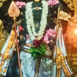 nadhagiri-murugan-temple-tirunelveli-temples-1fw5o4h042-250