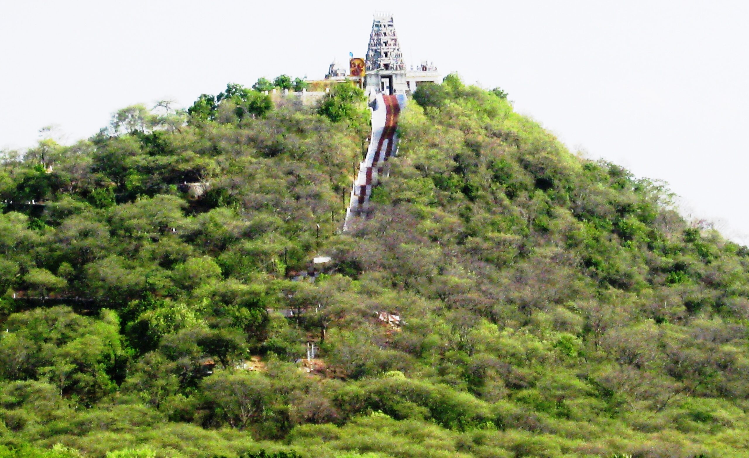 Sri Balasubramaniya Swamy Temple Vadachennimalai