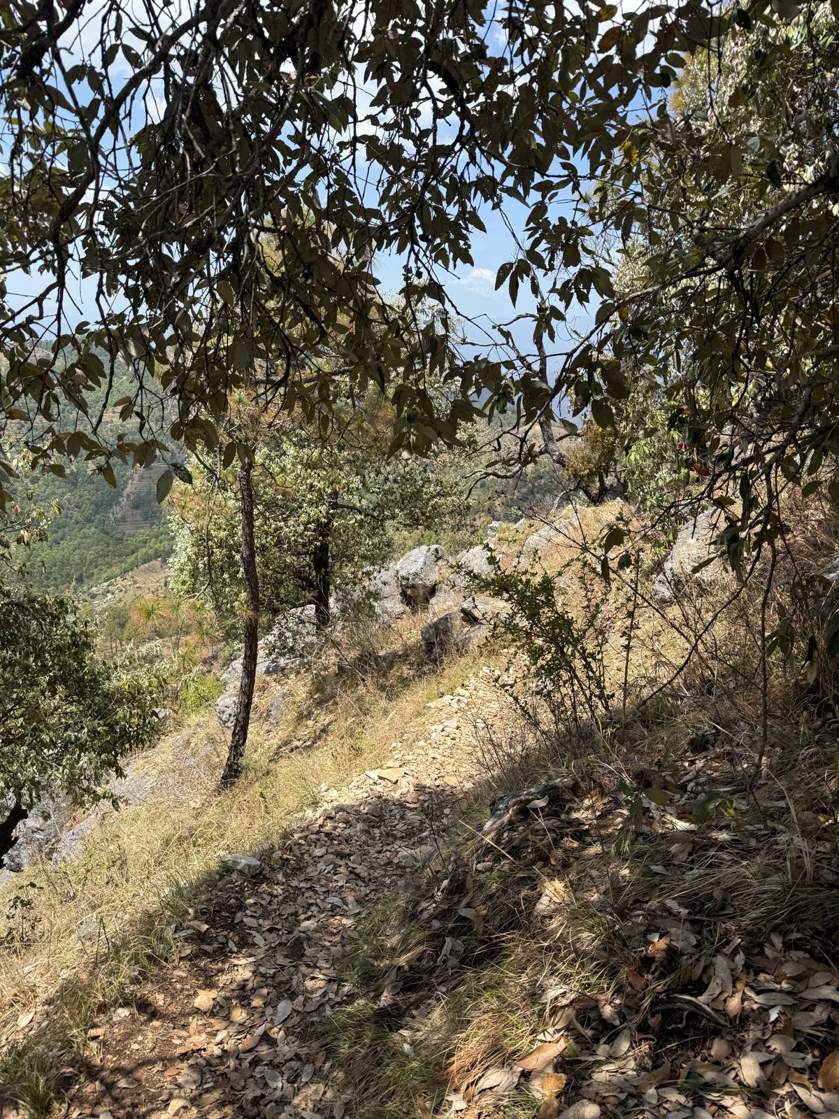 Prayer flags fluttering against the mountain backdrop. (Photo: Author)