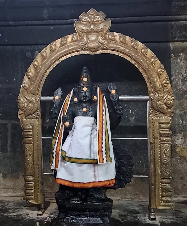 vadivudaiamman temple tiruvottiyur1.jpg